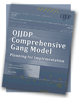 Implementation Manual cover