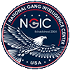 NGIC Logo